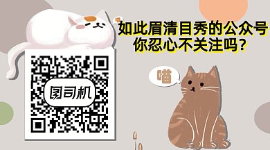 猫咪可爱卡通二维码横图