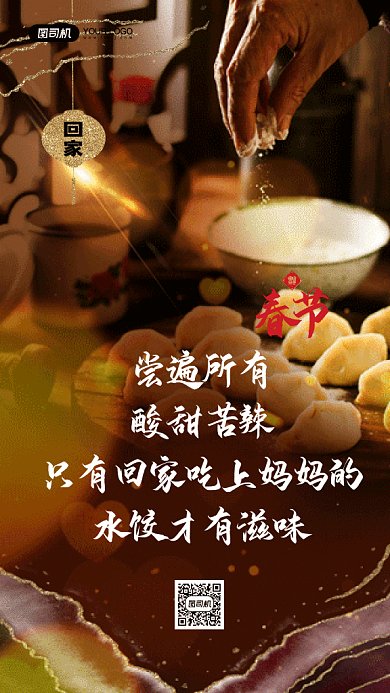 新年简约大气包饺子过年语录gif竖版海报