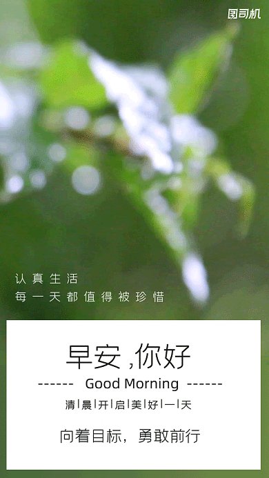 早安日签gif动态海报