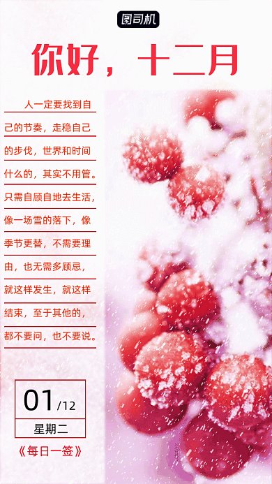 你好十二月写实gif竖版海报