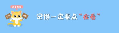 小猫举牌卡通风格动态在看提示