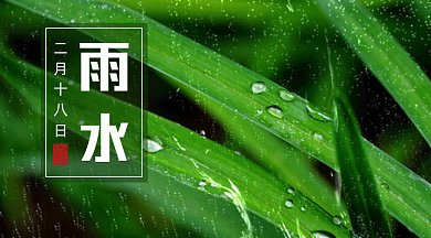 雨水大气绿色摄影图gif横图