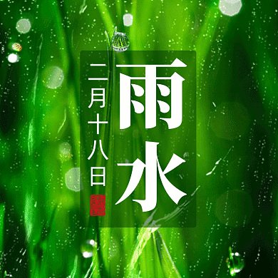 雨水唯美绿色下雨摄影图动态文章配图