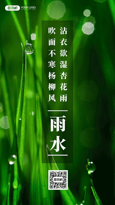雨水唯美绿色树叶下雨摄影图gif手机海报