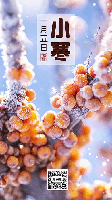 小寒唯美蓝色实拍摄影图gif手机海报