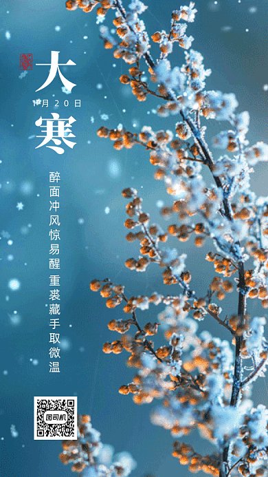 大寒唯美蓝色树枝实拍摄影图gif手机海报