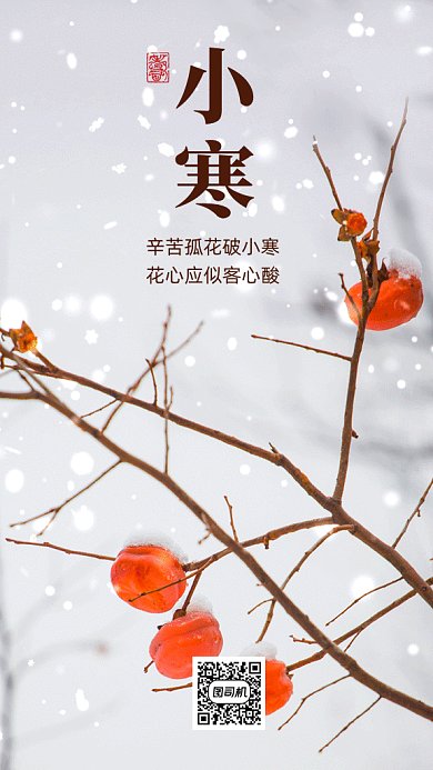 小寒唯美灰色实拍摄影图gif手机海报