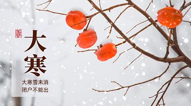 大寒唯美灰色实拍摄影图gif横图