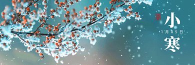 小寒唯美绿色实拍摄影图动态超链接配图