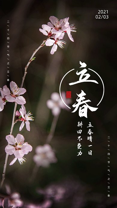 立春淡雅绿色创意实拍摄影图gif手机海报