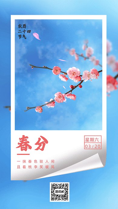 春风写实风日签月签桃花开gif海报