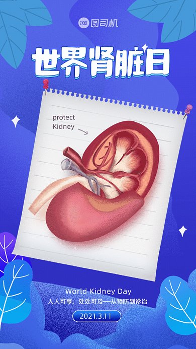 世界肾脏日卡通节日宣传蓝色GIF手机海报