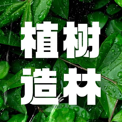 植树节唯美绿色动态摄影图gif文章配图