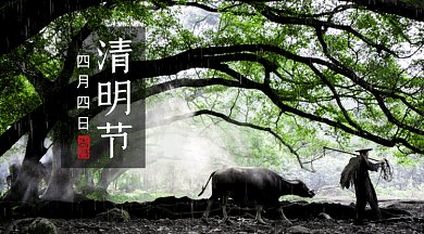 清明节大气绿色动态摄影图gif横图