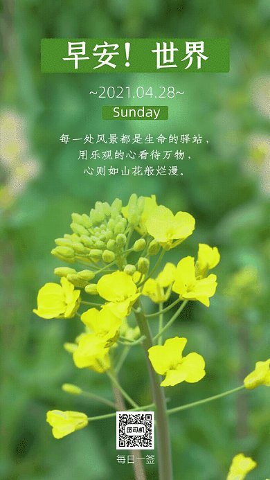 早安世界简约日签油菜花GIF手机海报