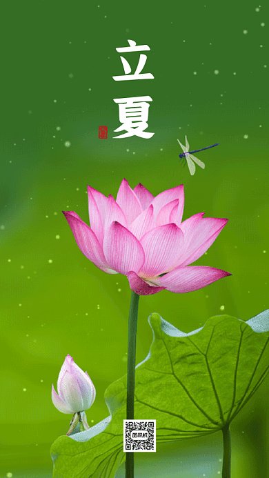 立夏唯美绿色动态摄影图gif手机海报