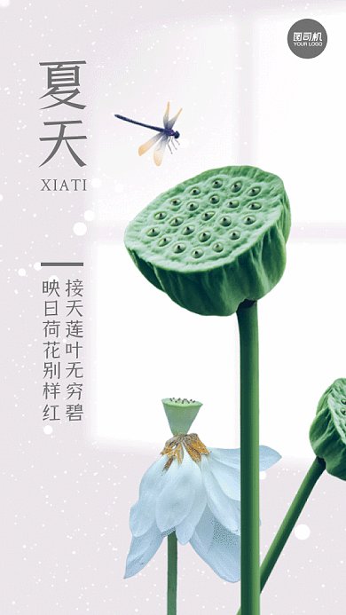 夏天莲蓬灰色动态摄影图gif手机海报