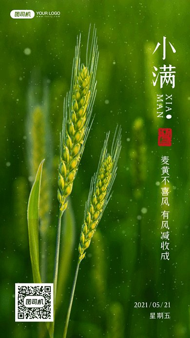 小满大气绿色动态摄影图gif手机海报