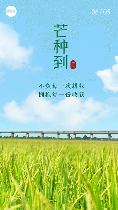 芒种清新蓝色创意摄影图gif手机海报