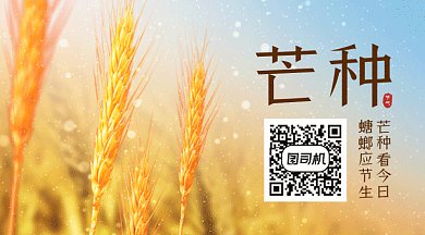 芒种唯美黄色动态摄影图动态二维码