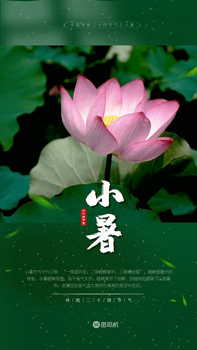 小暑简约节气宣传绿色GIF手机海报