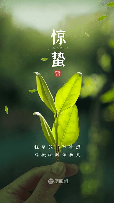 惊蛰简约节气摄影图绿色GIF手机海报