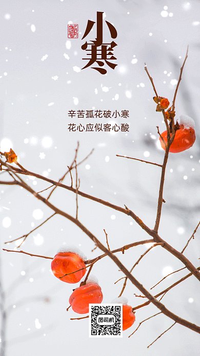 小寒唯美灰色实拍摄影图gif手机海报