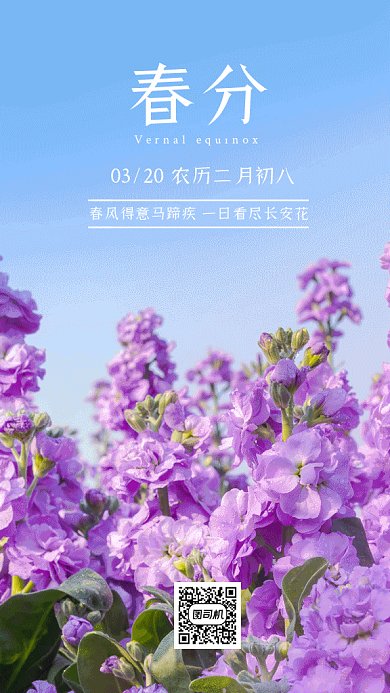 春分小清新紫色动态摄影图gif手机海报