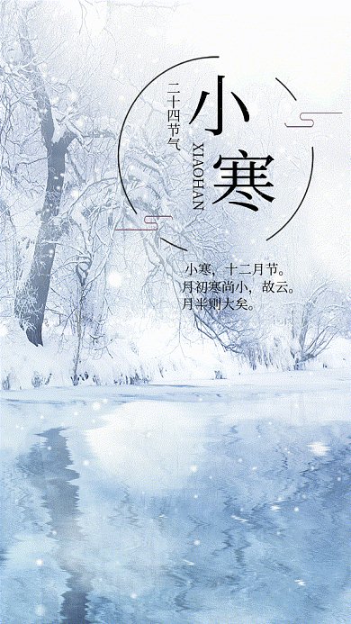 小寒节气下雪白色写实gif手机海报