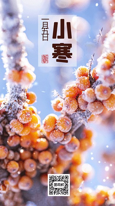 小寒唯美蓝色实拍摄影图gif手机海报