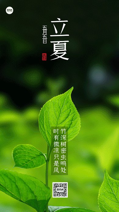 立夏大气绿色动态摄影图gif手机海报