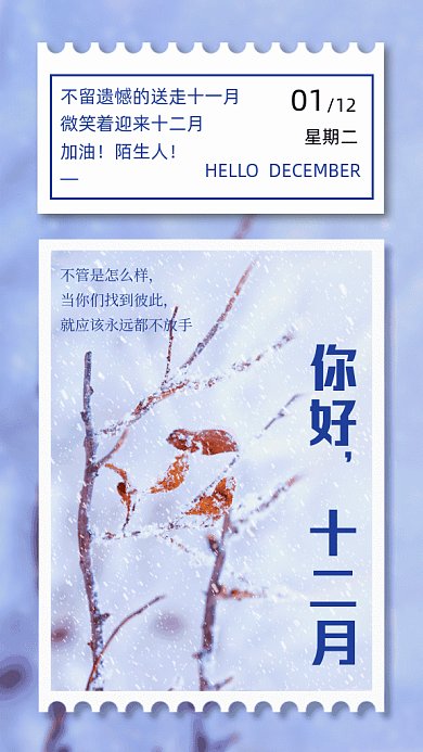 你好十二月写实gif竖版海报