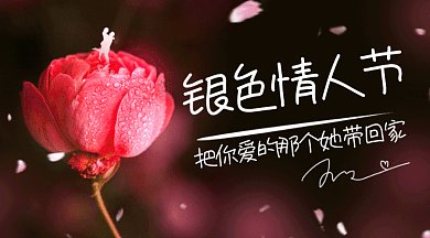银色情人节玫瑰花花瓣飘舞gif横图