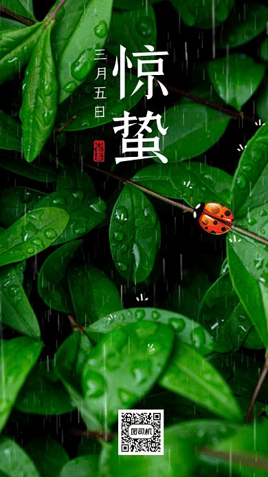 惊蛰唯美绿色创意摄影图gif手机海报