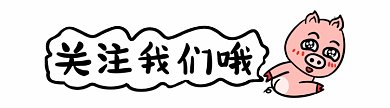 粉色卡通小猪动态引导关注动图GIF