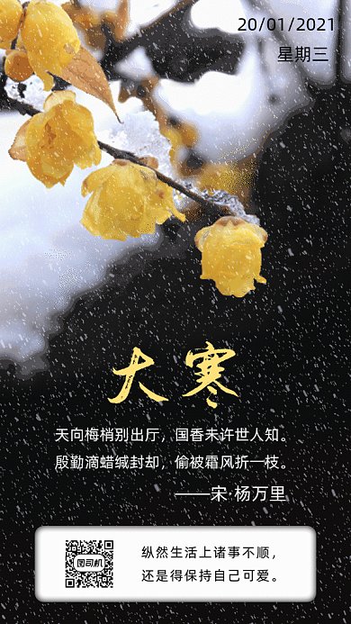 大寒节气黑色写实风格gif海报