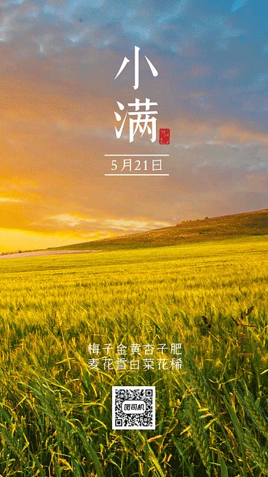 小满大气绿色动态摄影图gif手机海报