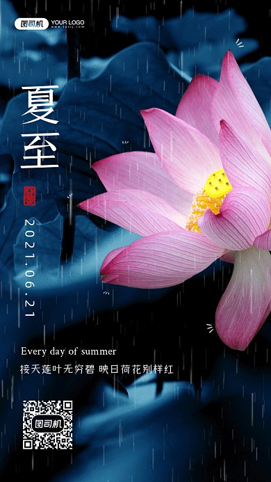 夏至唯美荷花动态摄影图gif手机海报