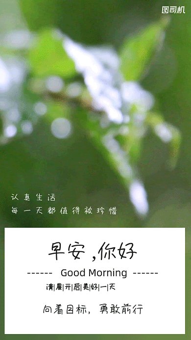 早安日签gif动态海报