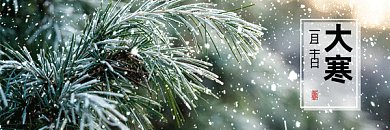 大寒唯美绿色树枝实拍摄影图动态超链接配图