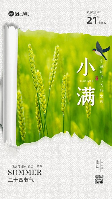 小满简约节气宣传绿色GIF手机海报