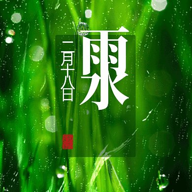 雨水唯美绿色下雨摄影图动态文章配图