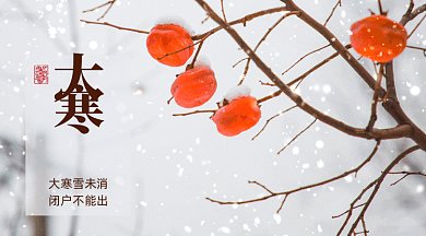 大寒唯美灰色实拍摄影图gif横图