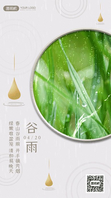 谷雨大气绿色动态摄影图gif手机海报