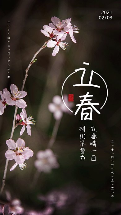 立春淡雅绿色创意实拍摄影图gif手机海报