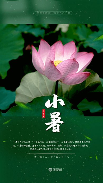 小暑简约节气宣传绿色GIF手机海报