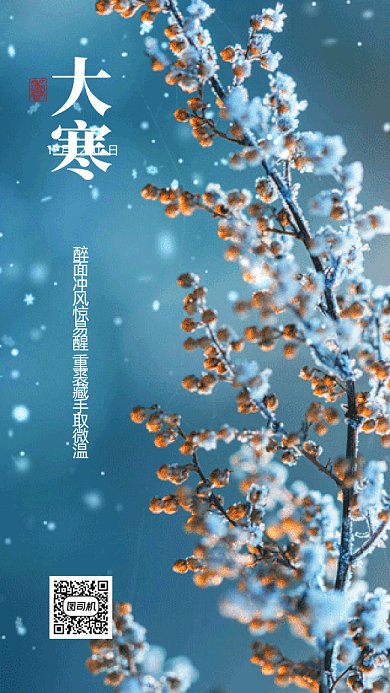 大寒唯美蓝色树枝实拍摄影图gif手机海报