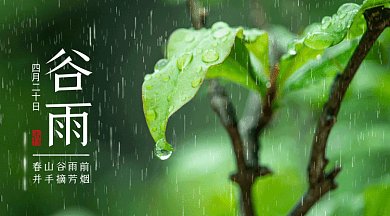 谷雨节气唯美绿色动态摄影图gif横图