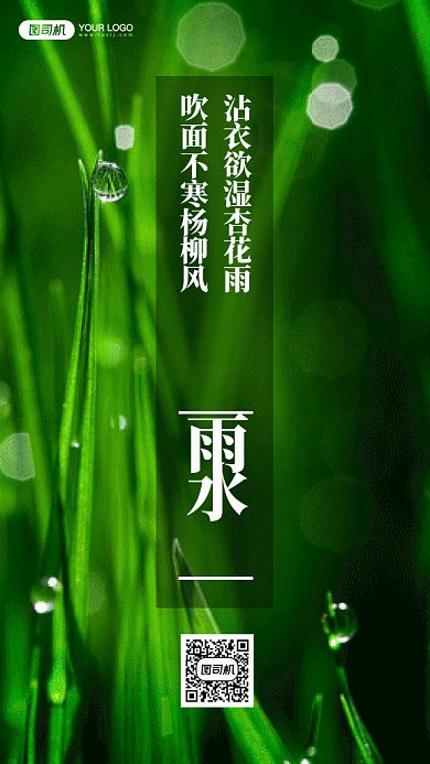 雨水唯美绿色树叶下雨摄影图gif手机海报