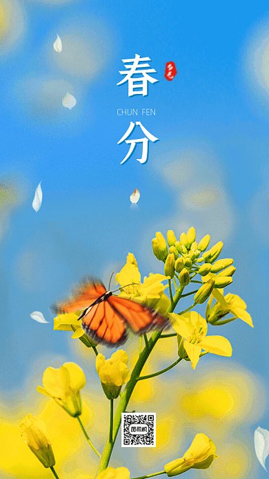 春分简约节气宣传蓝色GIf手机海报